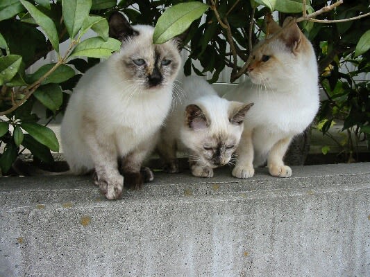 ◎写真の名前◎