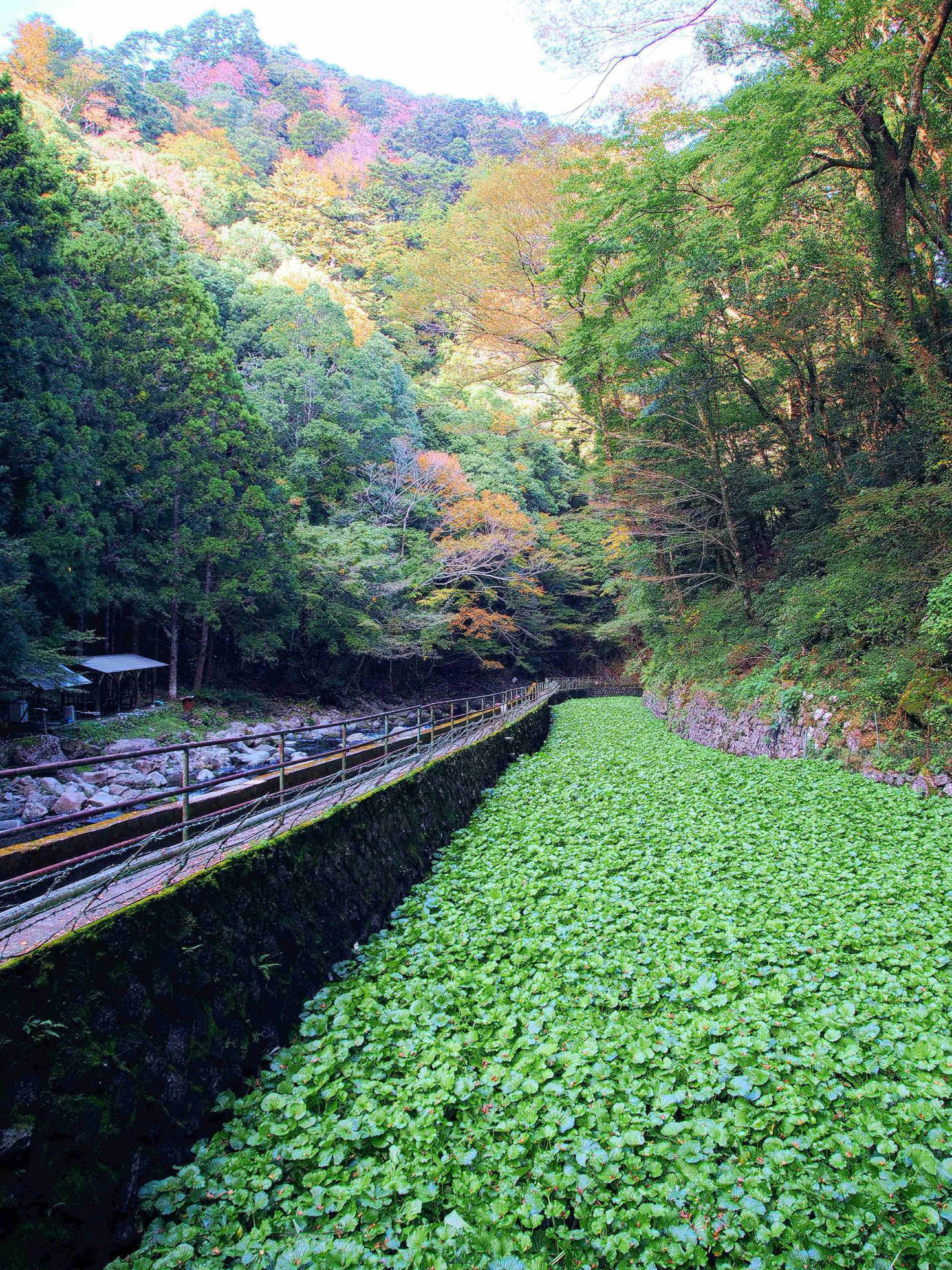 水観賞の旅！の画像