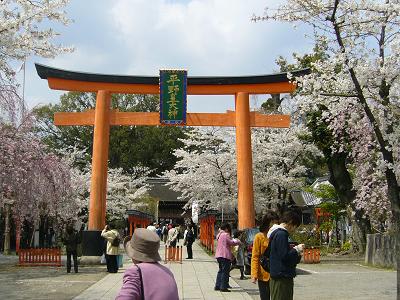 桜、桜、やよいの空に～