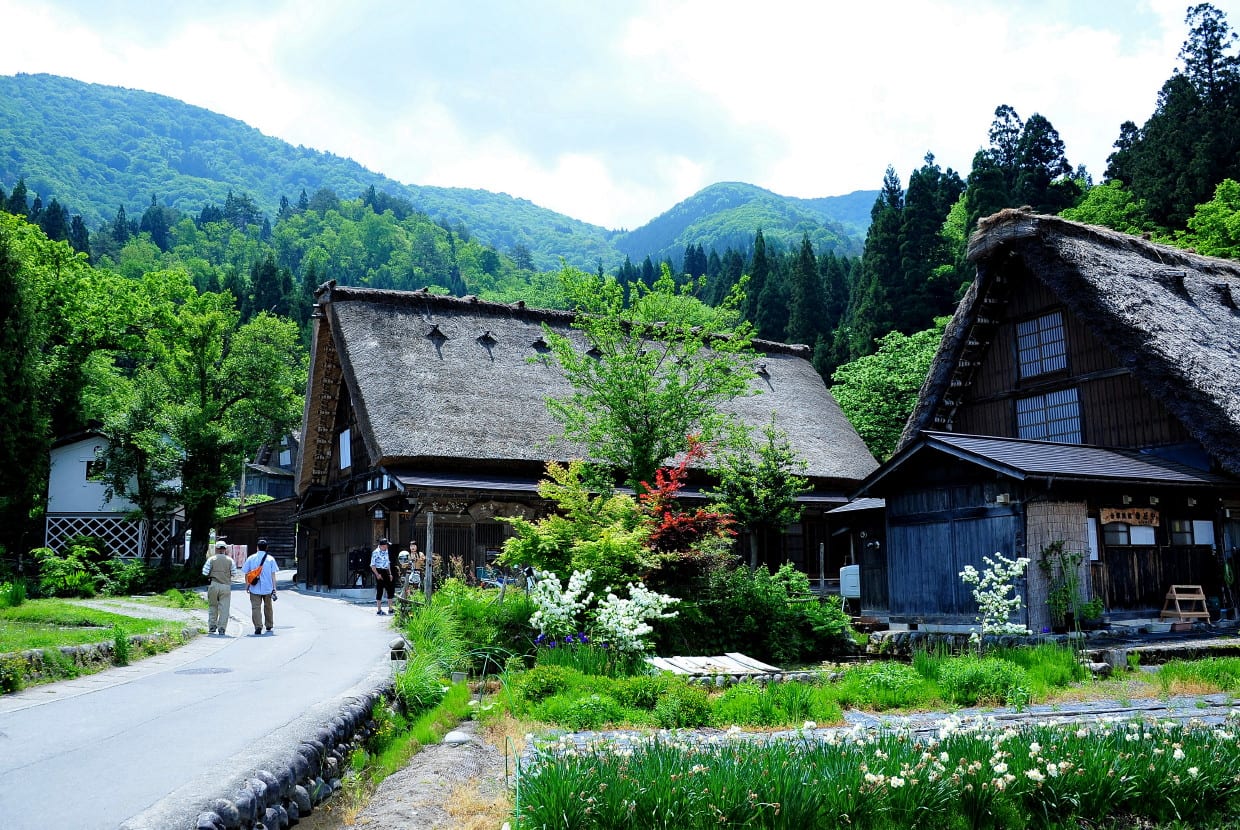 白川郷の合掌造り茅葺き屋根と美しき田園風景 写真ブログ ずバッと 今日の１枚