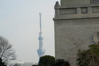 東京国立博物館の行列から見たスカイツリーです