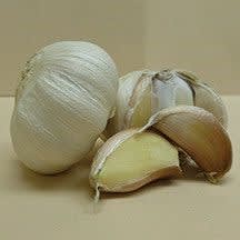 スペイン産ニンニクを植える 白寿を目指す抗衰老ライフへの誘い