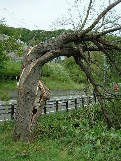 20040909_02