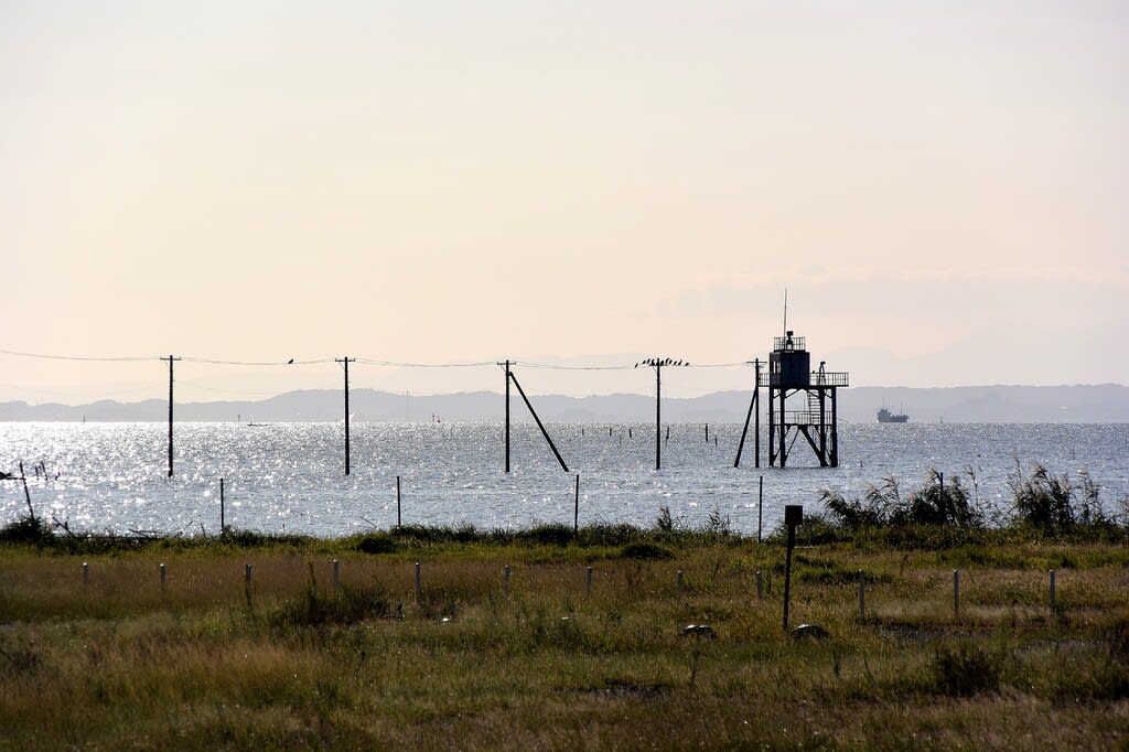 海中電柱が立ち並ぶ久津間海岸の赤鳥居と不思議な水神社 木更津市 光と影の軌跡