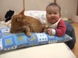 赤ちゃんが猫ちゃんの尻尾をハムハムしている動画です 思わず微笑んでしまう猫動画 全ての猫好きに捧げる動画