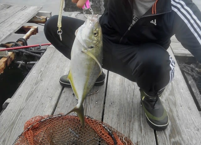 秋の海上釣り堀 お前だけには負けたくない Part2 釣り界の最下級釣り師 釣りをさせて頂きありがとうございます