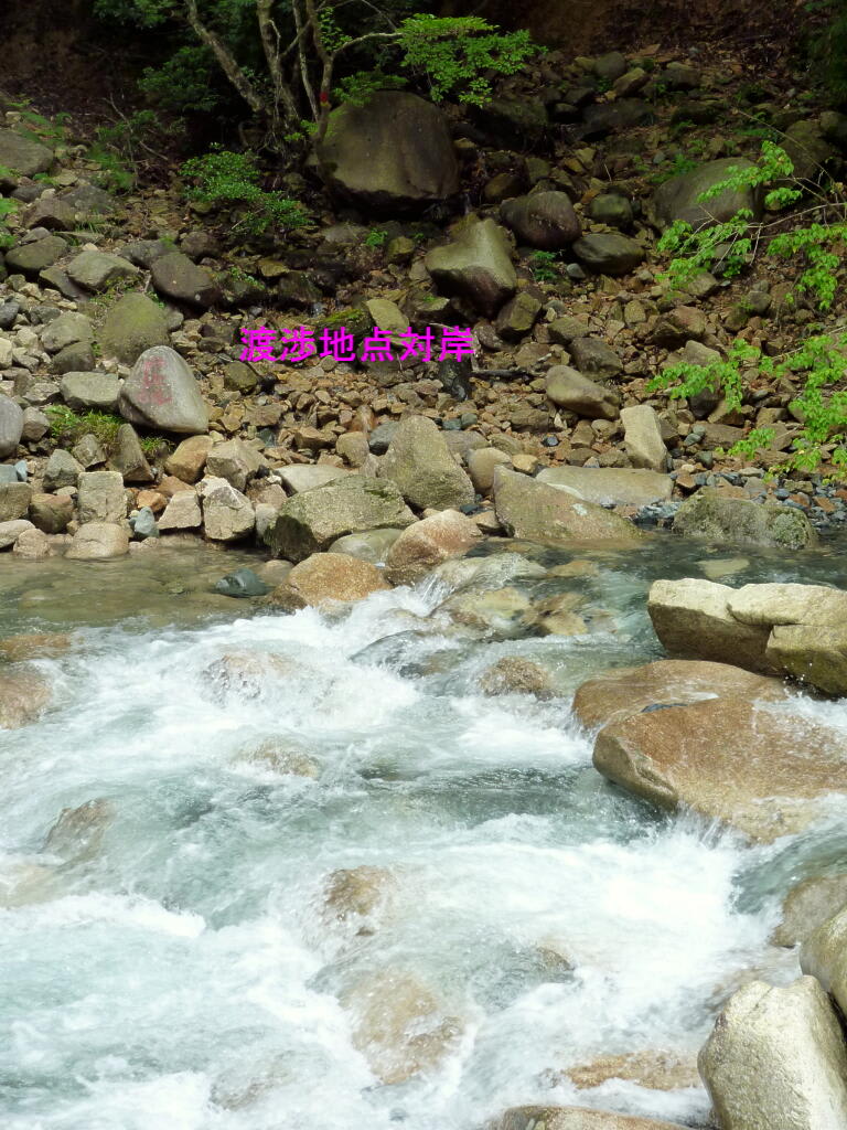 鈴鹿　愛知川本流　Ⅱの画像