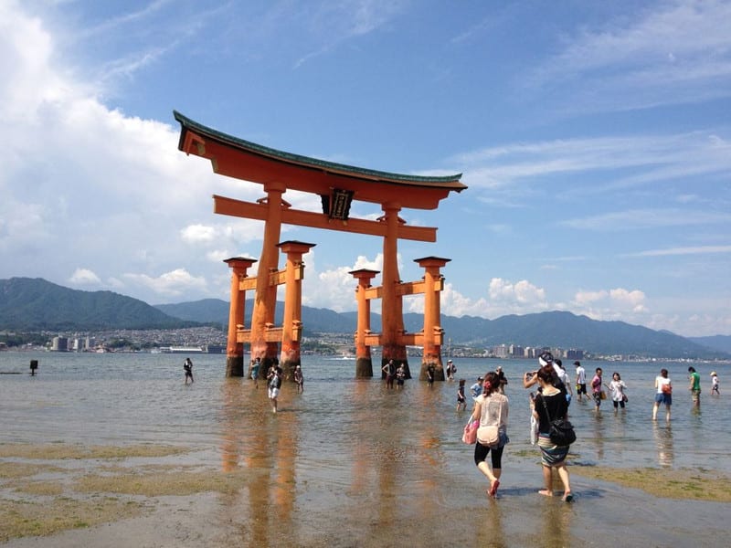 Photo_11 Photo_11