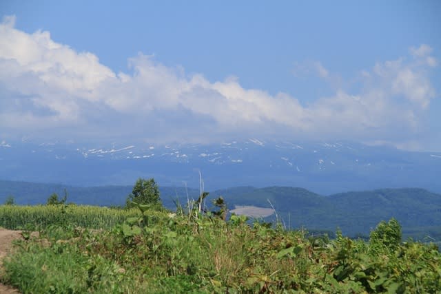 IMG_3762.JPG