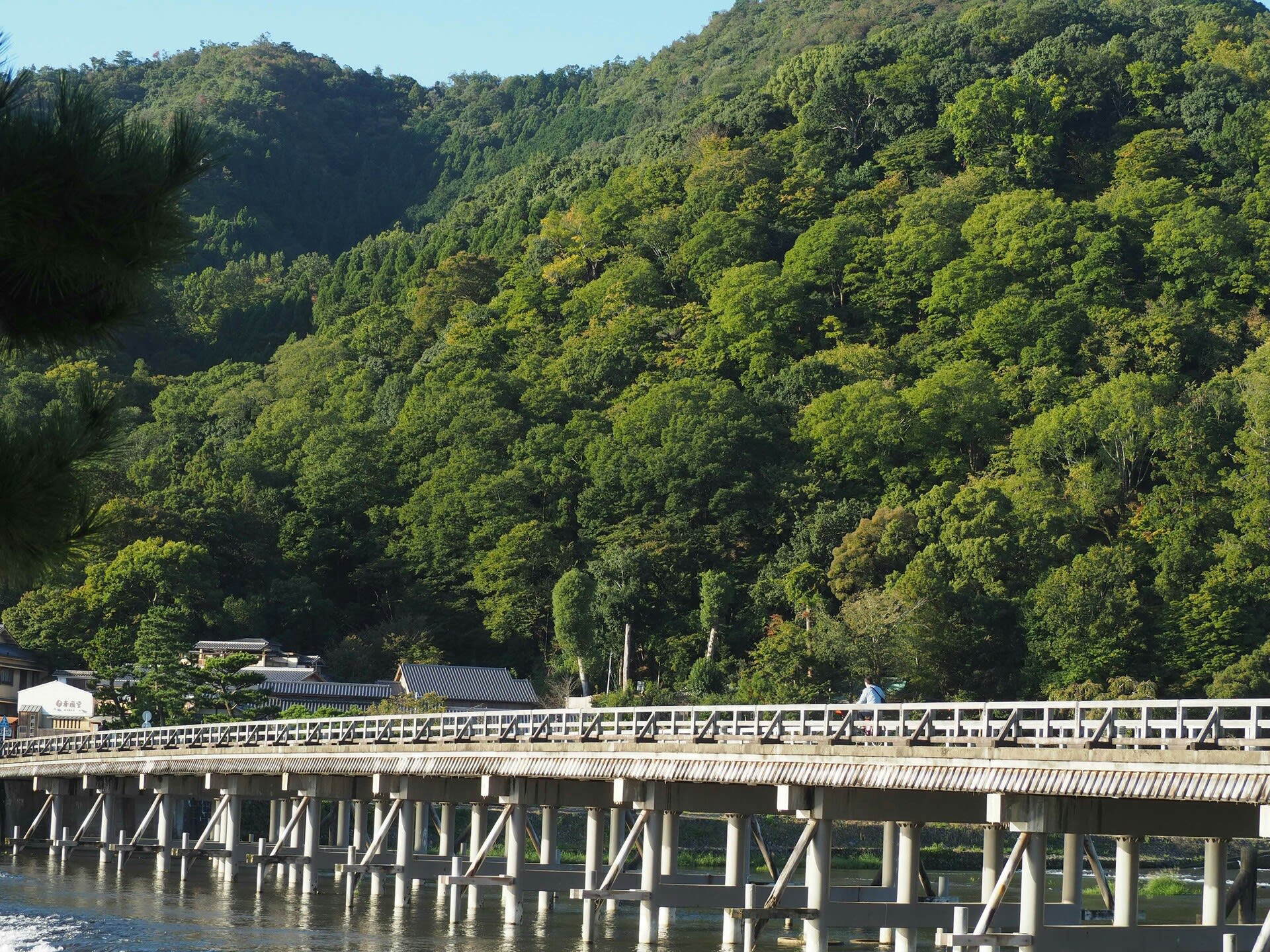 十月の嵐山渡月橋 天龍寺 亀山展望台 京都で定年後生活