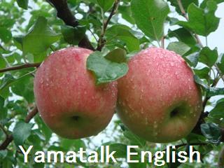 りんごのことわざ 東京オンライン英語教室のyamatalk English でジョリーフォニックスも習えます