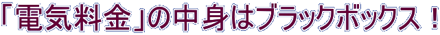 「電気料金」の中身はブラックボックス!