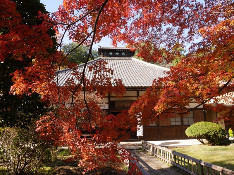 太田市の紅葉スポットで たそがれオヤジのクタクタ山ある記