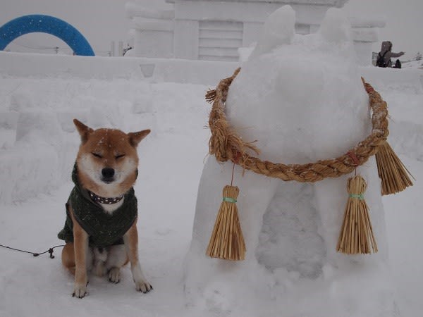 秋田 冬の旅 その３ 犬っこまつり 柴犬元気とほのぼの旅日記