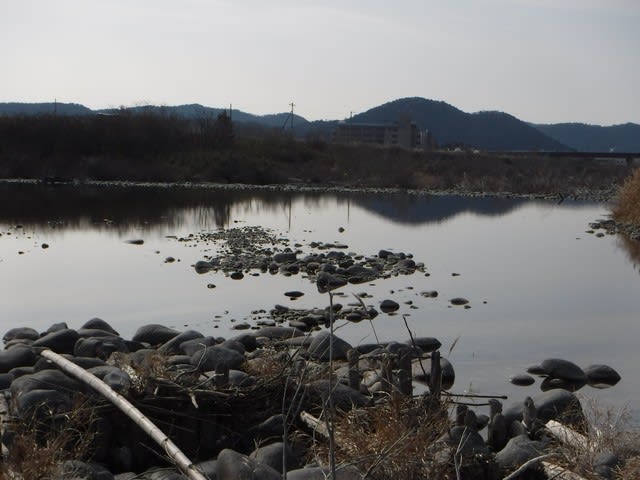 解禁三日目の津保川 しげじいの迷釣り師 フライと鮎友釣 小物釣りも 楽天ブログ