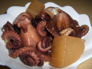 飯蛸 イイダコ 寮管理人の呟き