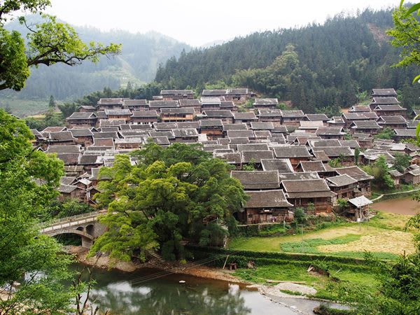 中国・貴州省の棚田の旅「榕江県・烏公村」 - 日本の棚田