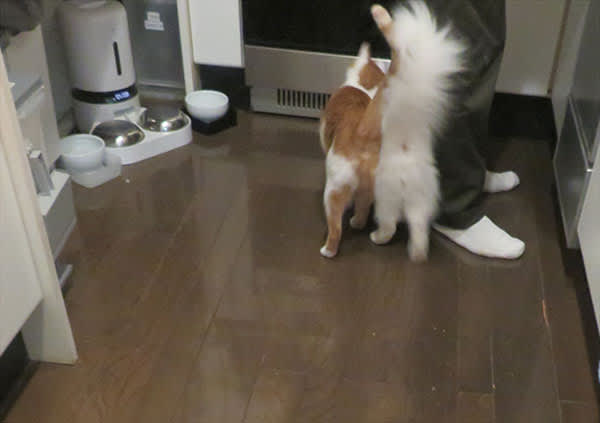 待ちきれないよ早く早く 川天使空間 待ちきれないよ早く早く 川天使空間