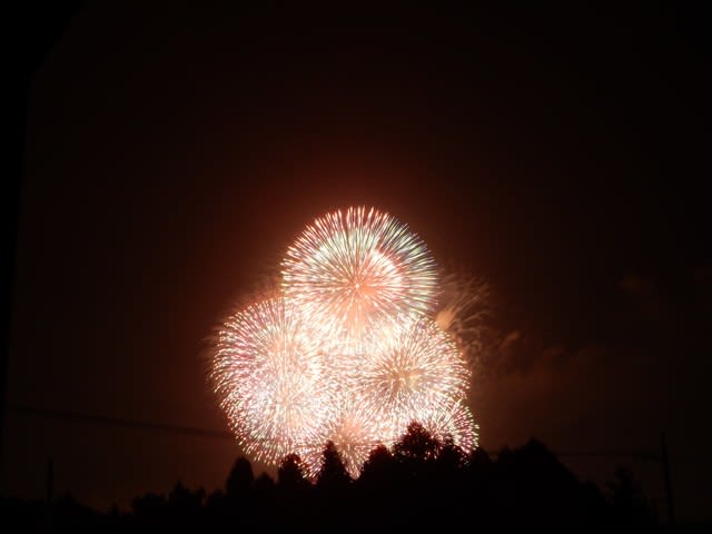 家の中から花火大会 すだちのお庭でひと休み