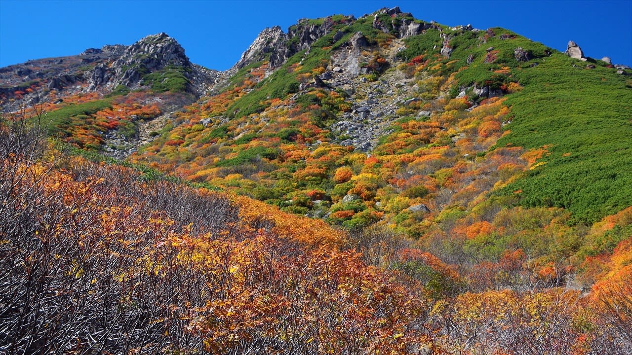 木曽御嶽山の紅葉は凄い トドクロちゃんと山登り