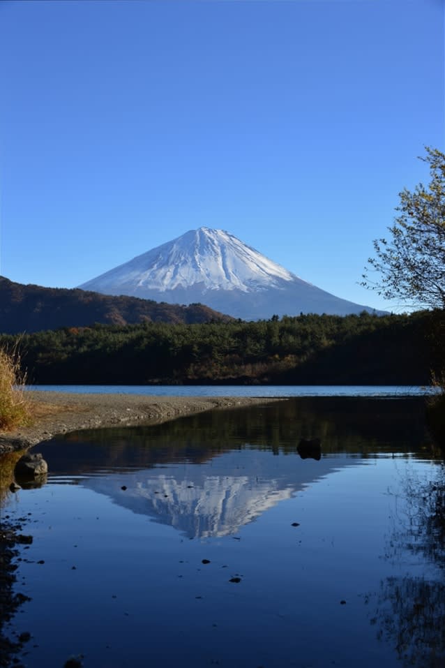 西湖からの富士山と逆さ富士 気まぐれフォトダイアリー