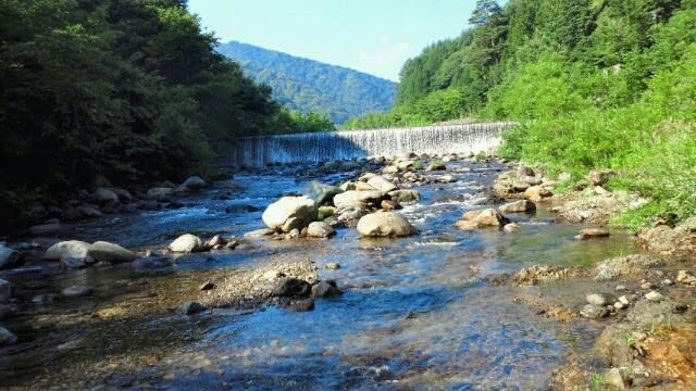 朝一番に福島で水遊び 只今家庭犬輸送中 ボーダーとゴールデンの日常的なblog 朝一番に福島で水遊び 只今家庭犬輸送中 ボーダーとゴールデンの日常的なblog