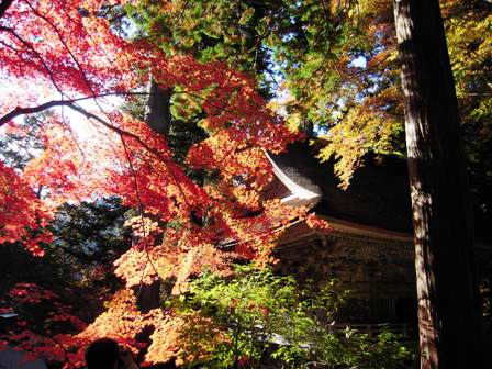 両界山横蔵寺のもみじ 山里日記