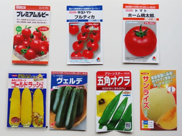 夏野菜の種購入　長野県　松本市