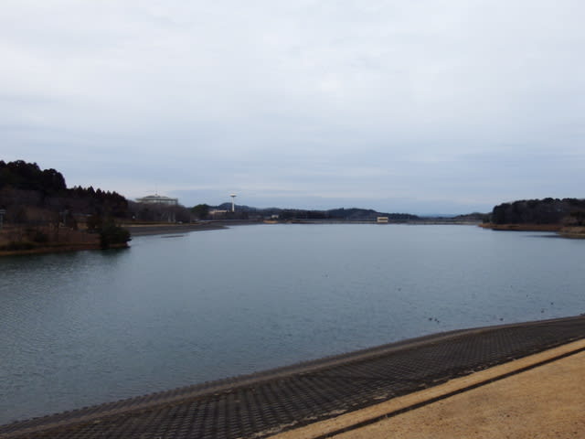 2015.03.07  楮川ダム