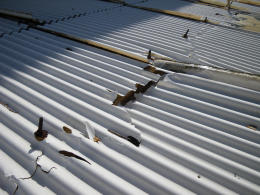 トタン屋根の修復 1 東京里山農業日誌