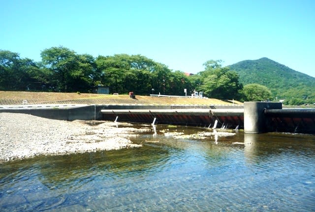 御側橋すぐ川上の五十鈴川の堰堤 ～ 2023年7月17日に撮影