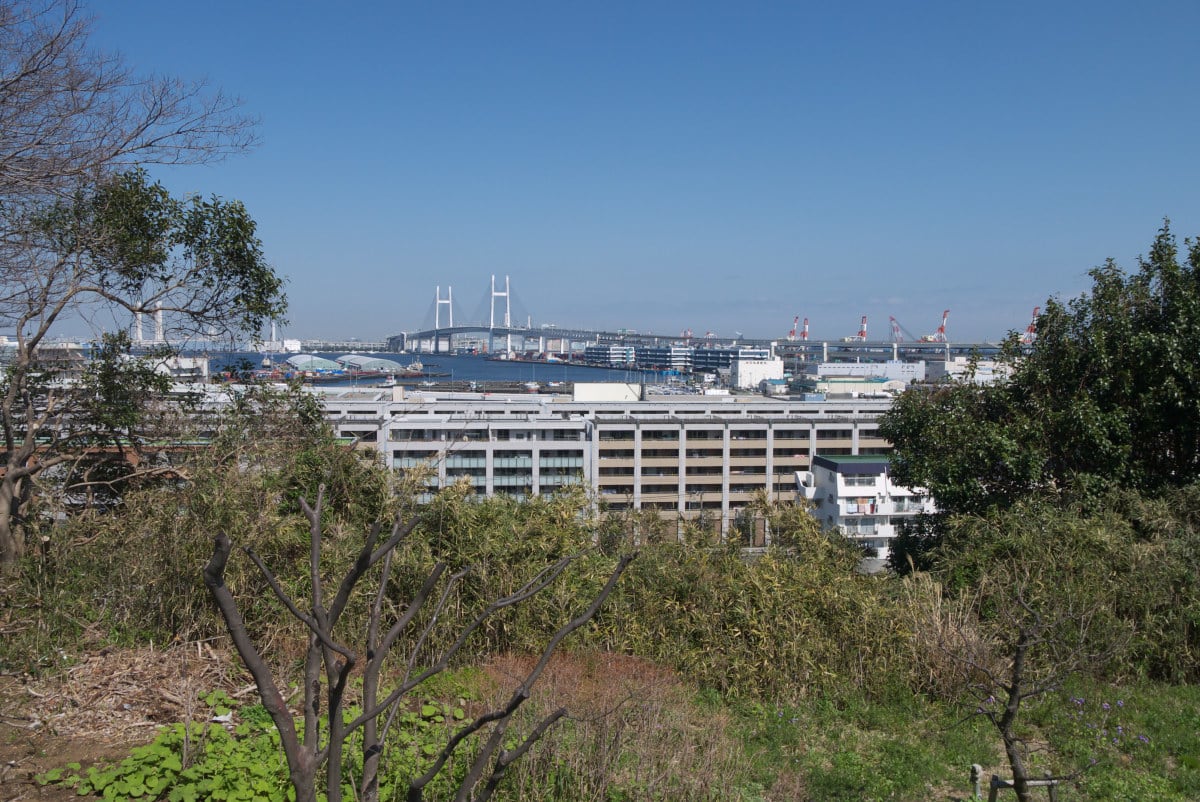 早春の港の見える丘公園 イギリス庭園と神奈川近代文学館 ｐａｒt２ 緑には 東京しかない