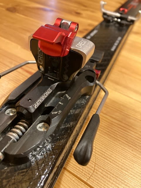 SKIMOはじめるならまずは道具選びから♪ - Suzuka to the world!!