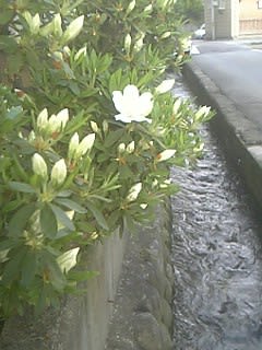 120519_060215_M.jpg