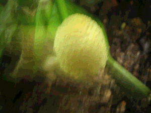 お話大好き 3ページ目
