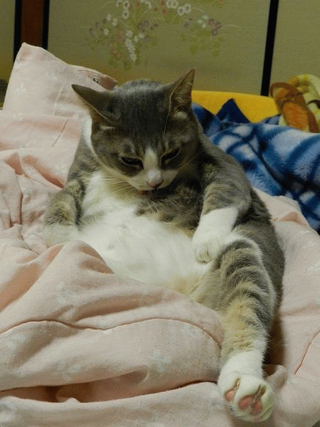 にっこり Ch 写真共有 Goo Blog フォトチャンネル にっこり Ch 写真共有 Goo Blog フォトチャンネル