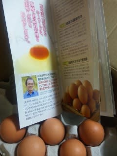 美味しい卵