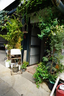 京都二条の路地みある観葉植物専門店 Cotoha 200種類を超える観葉植物が揃うお店 ネコのミモロのjapan Travel ｍｉｍｏｒｏ ｔｈｅ ｃａｔ Japan Travel