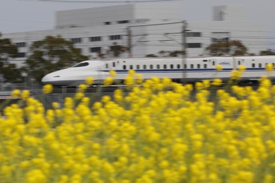 イメージ 20
