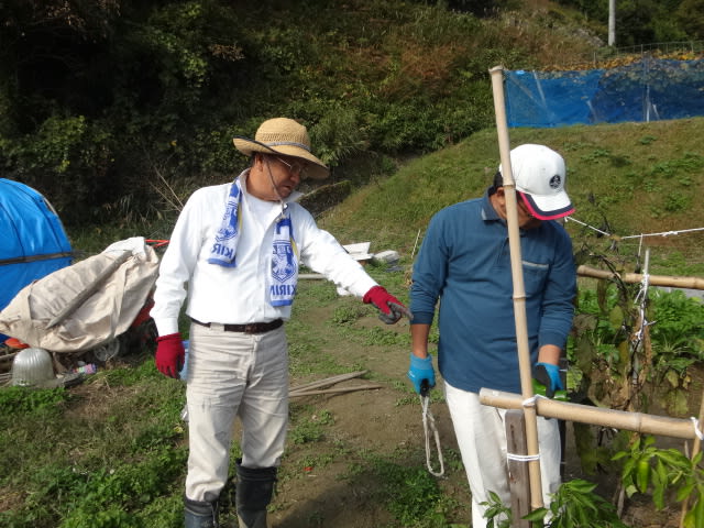 １０月２５日おじさん達の畑仕事 農家のおじさんの日々の生活