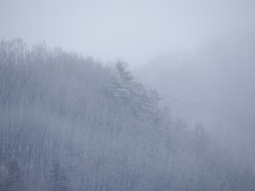 東山