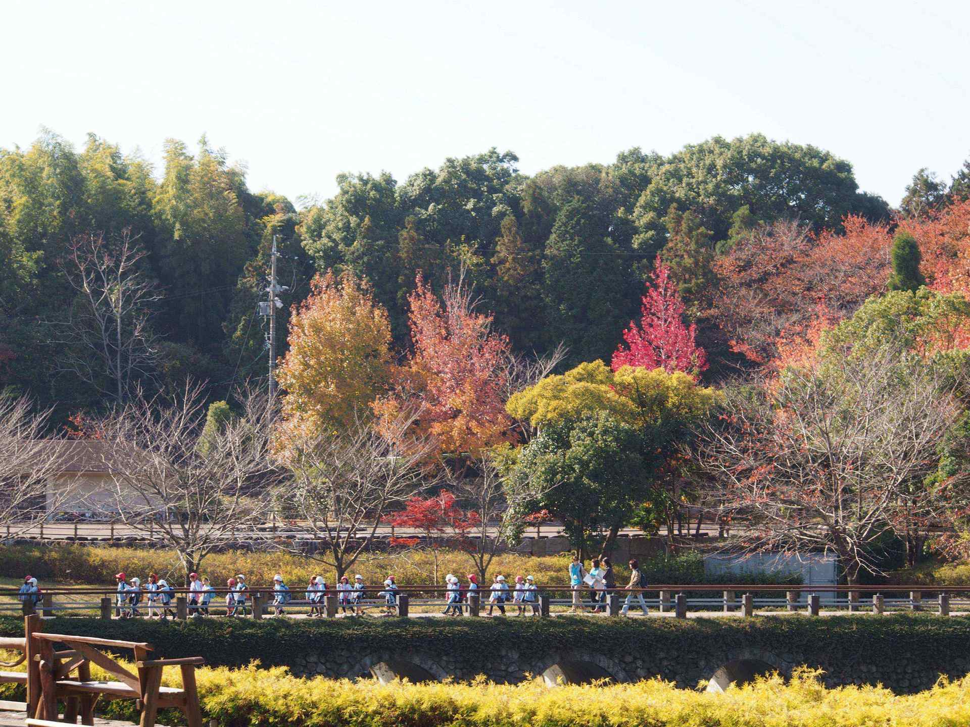 秋の風景を・・・の画像