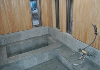 建築と石 ぶどうの木 建築と石 ぶどうの木
