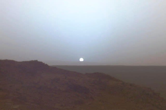 地球生命体は火星から来た Hamaの安穏無事な日々