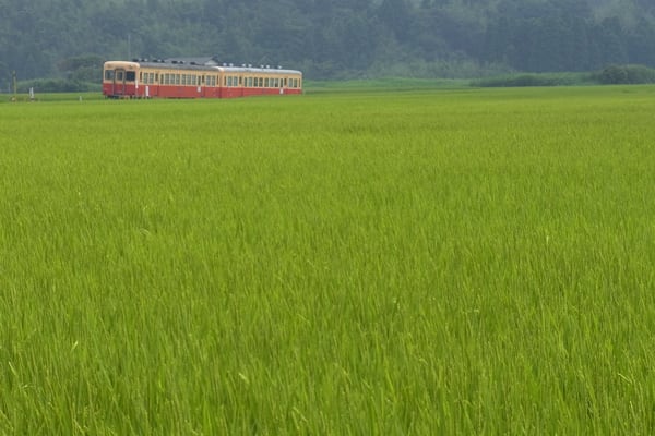 小湊鉄道
