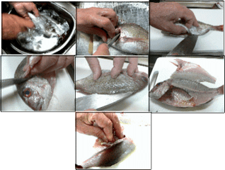 魚をおろす 男の料理指南