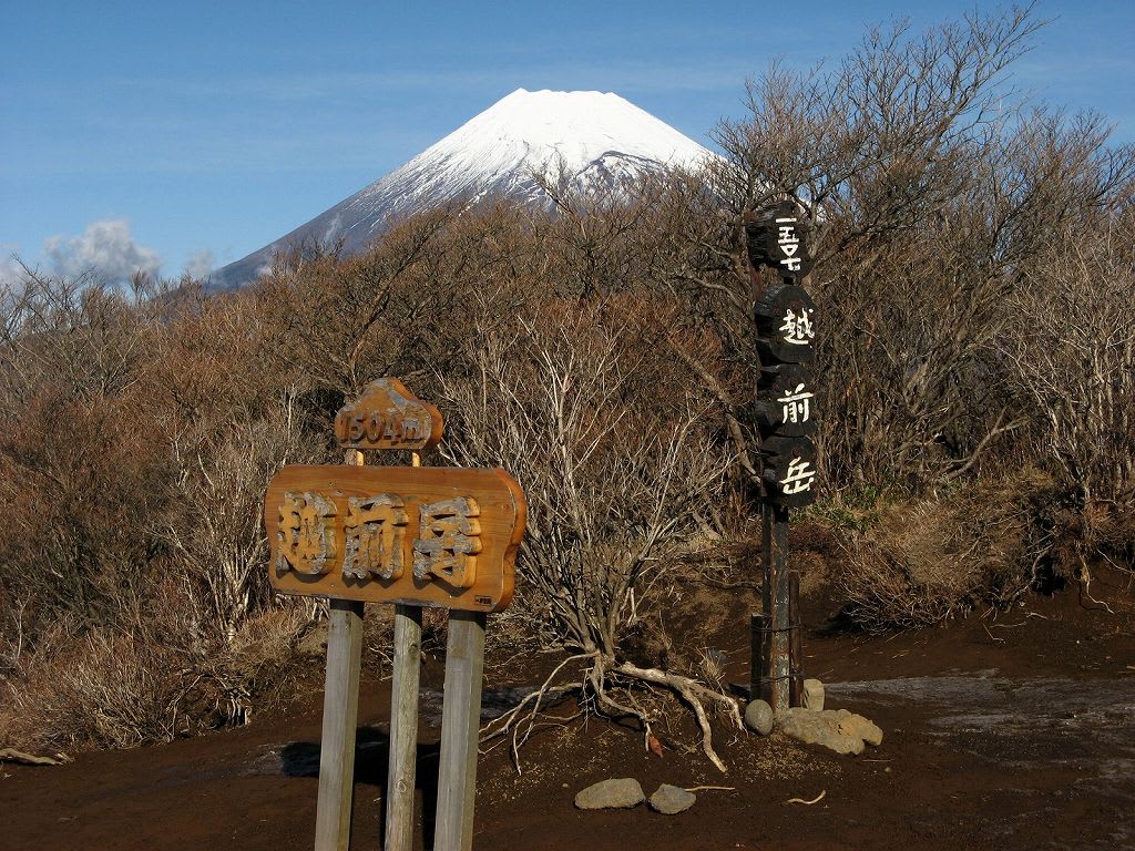 富士山を見に越前岳への画像
