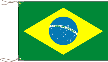 ブラジル国旗につめ込まれた情報の中身は 世界あるある発見隊