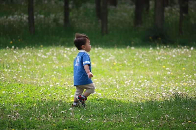 Img_0375 Img_0375