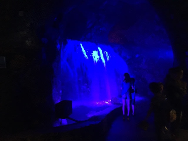 イメージ 15